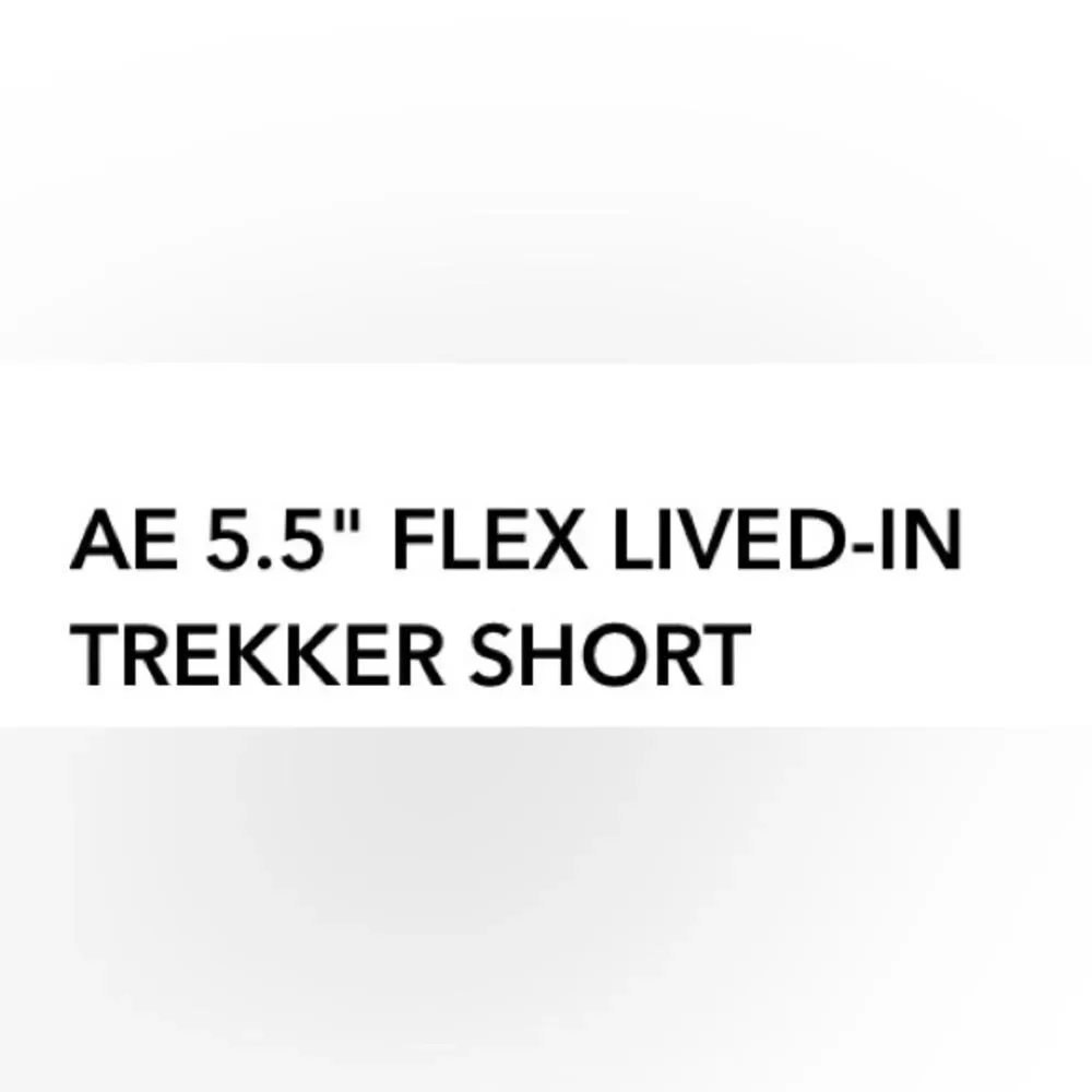 AE 5.5 Inch Shorts